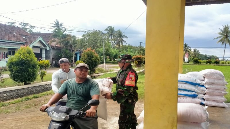 Babinsa Pager Gunung Mendampingi Penyaluran Pupuk Subsidi untuk Kelompok Tani
